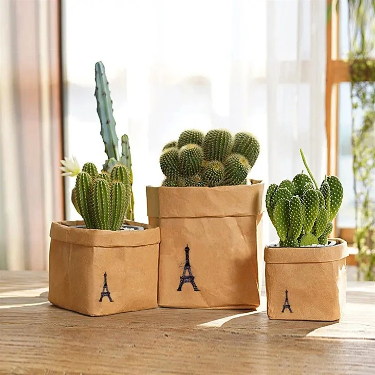 Small Washable Kraft Paper Storage Bag For Sales